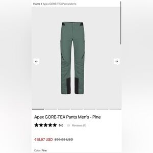 Apex GORE-TEX Men's Pants in Pine with Black Panels (size large)
